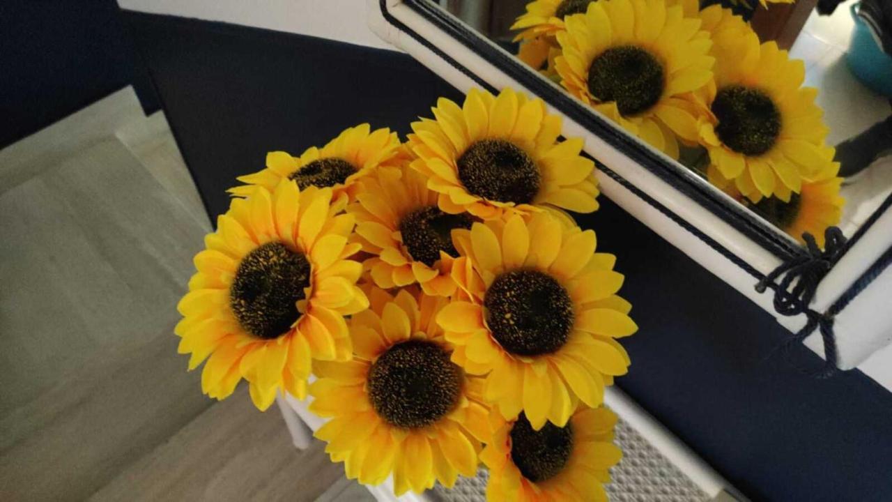Apartamento Il Girasole, Distante Solo 200 Mt. Reali Dal Mare Lido Marini Exterior foto